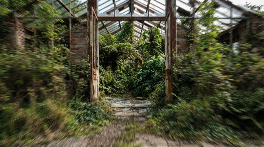 Camotion-conditioned greenhouse shooting frame with stronger foreground radial motion and a sharper central destination