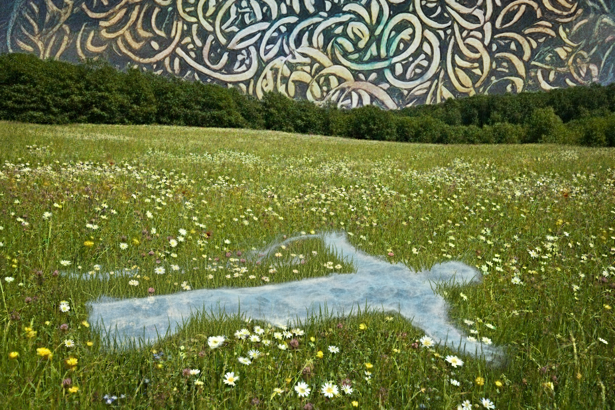 Ghostly Figure in Meadow