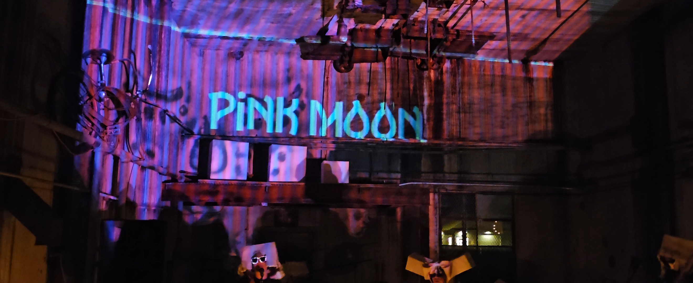 The Pink Moon Main Image